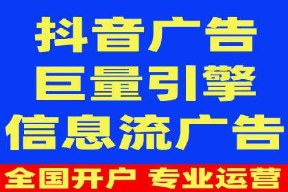 某电商平台的SEM广告投放策略及效果评估